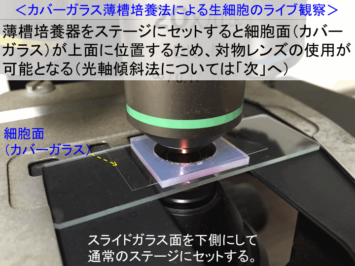 カバー ガラス 培養 オファー 法